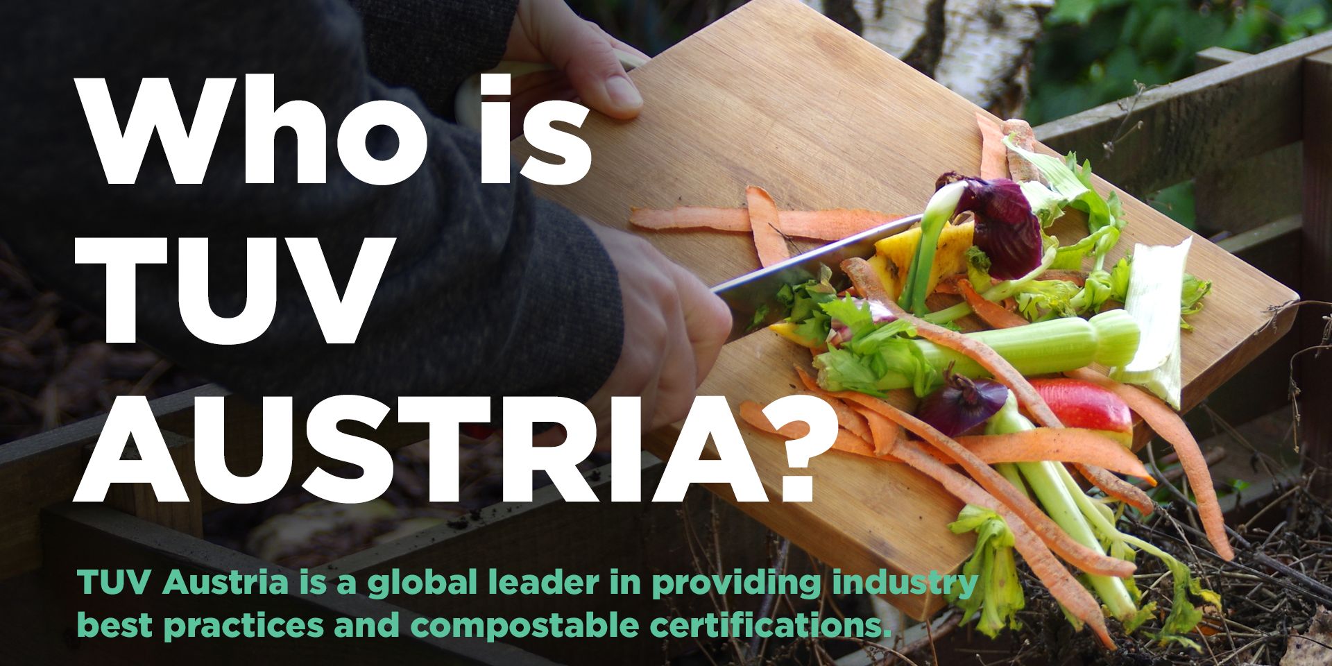 Who is TUV Austria