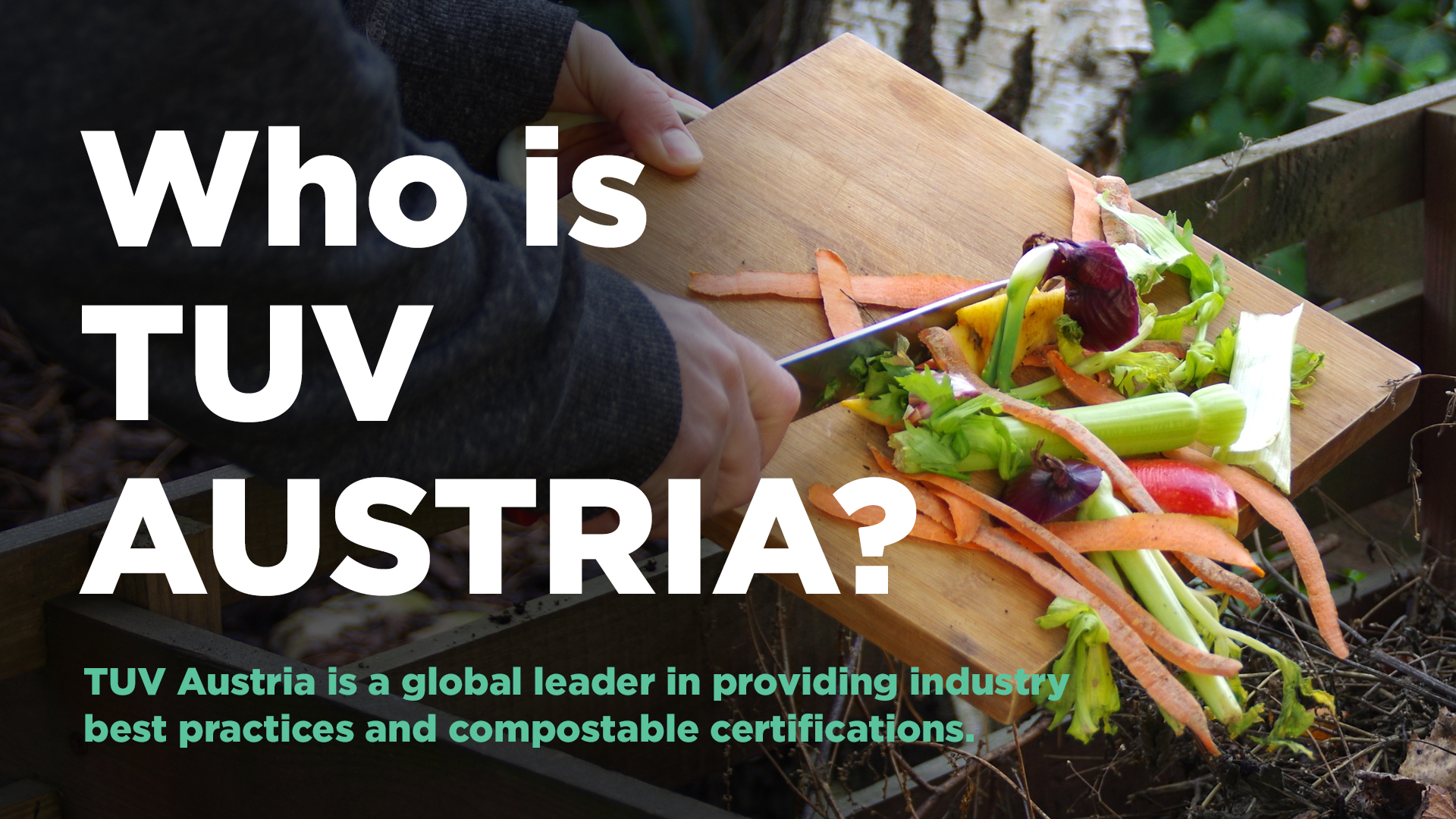 Who is TUV Austria