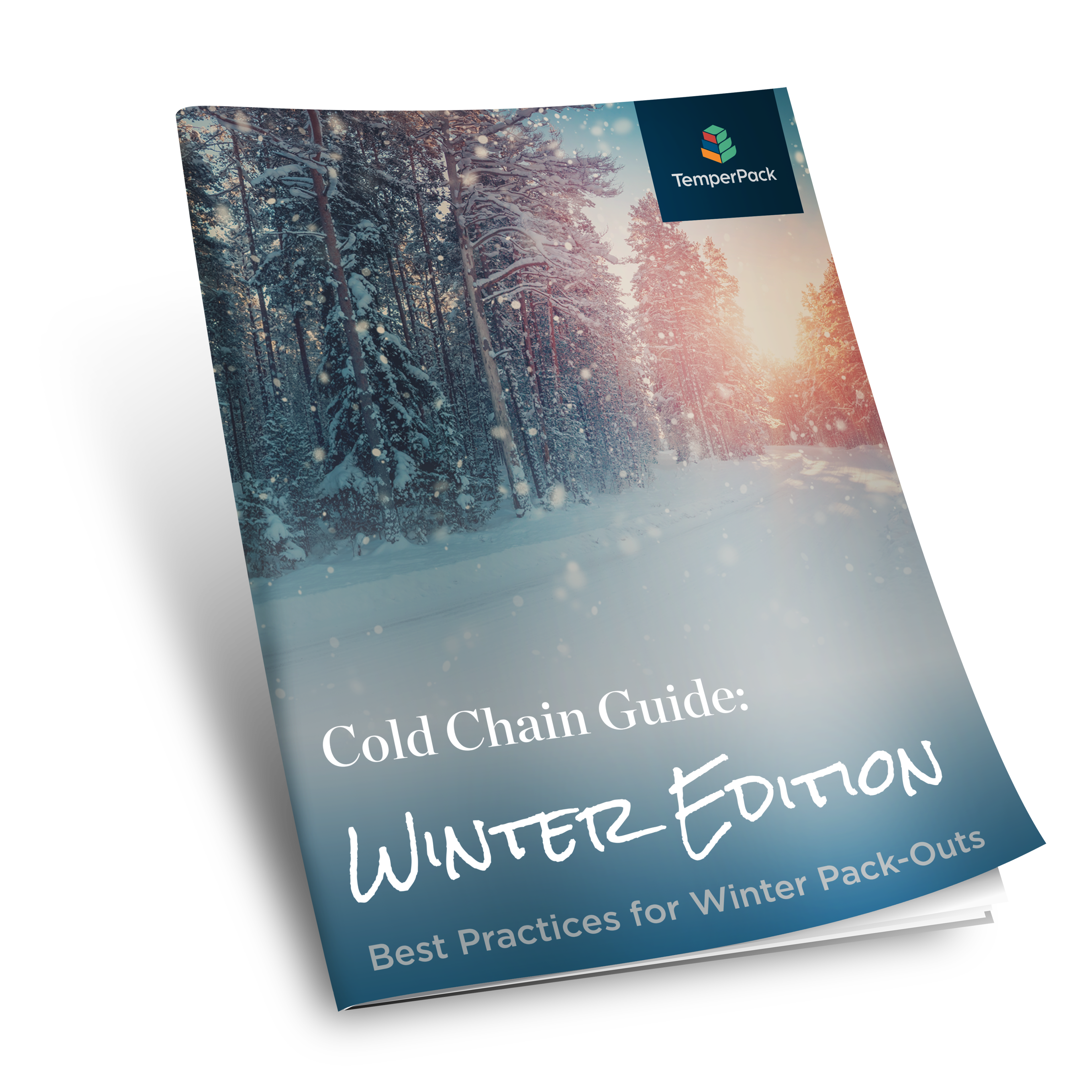 Winter Guide